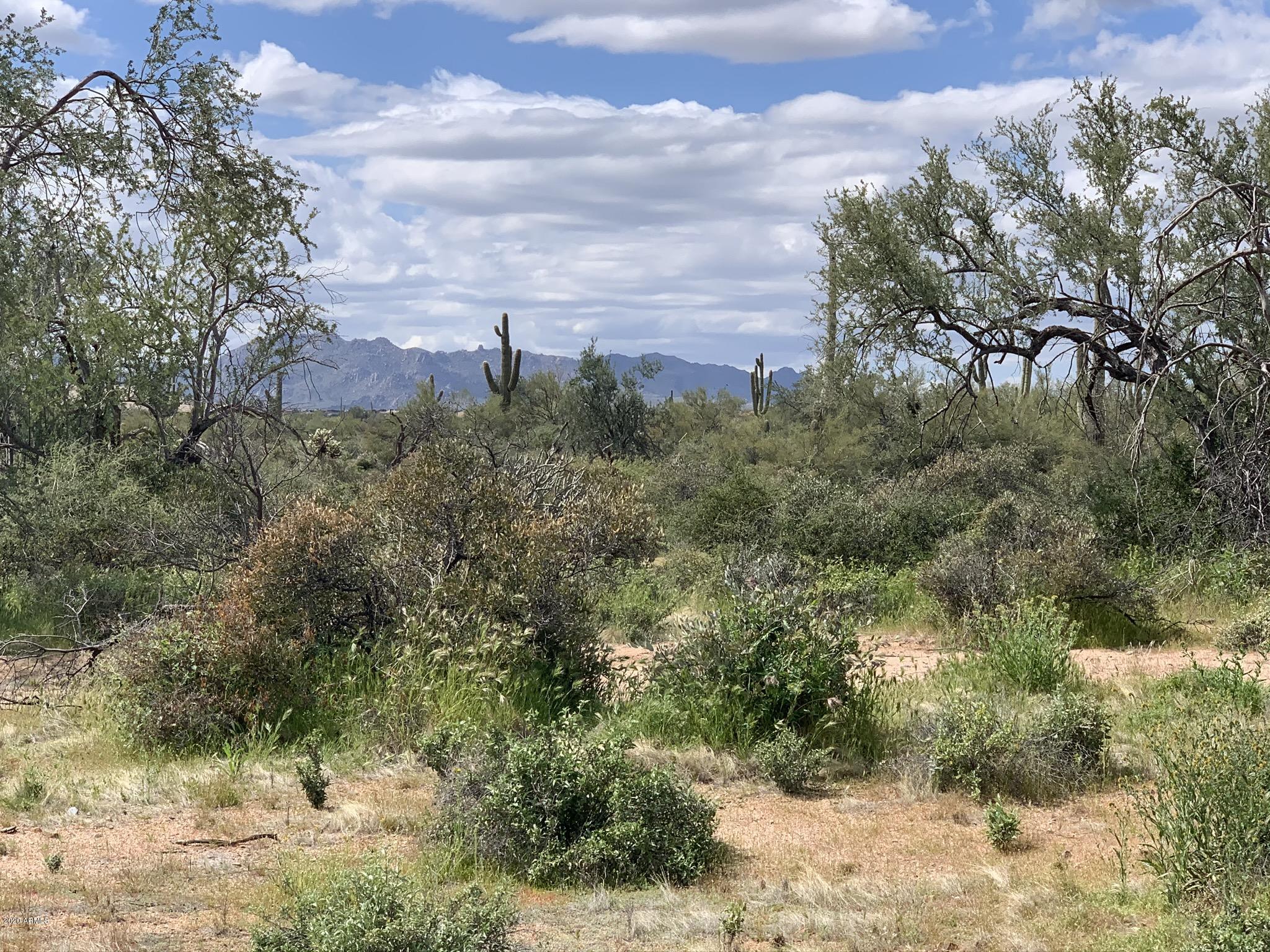 31200 North 174th Street Rio Verde, AZ 85263 - Photo 7 of 20 Stunning Mountain Views