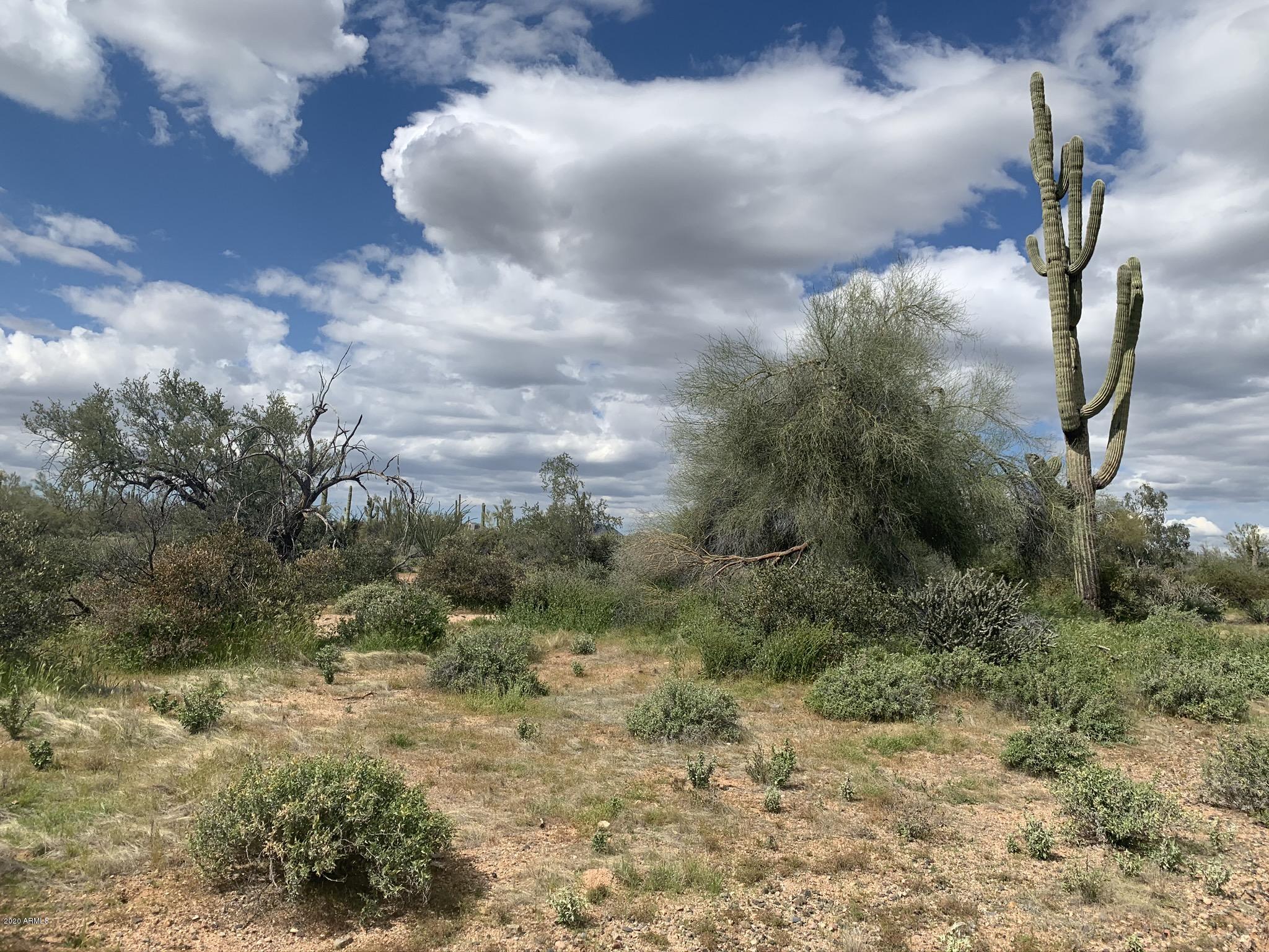 31200 North 174th Street Rio Verde, AZ 85263 - Photo 8 of 20 Great Lot to Build Dream Home