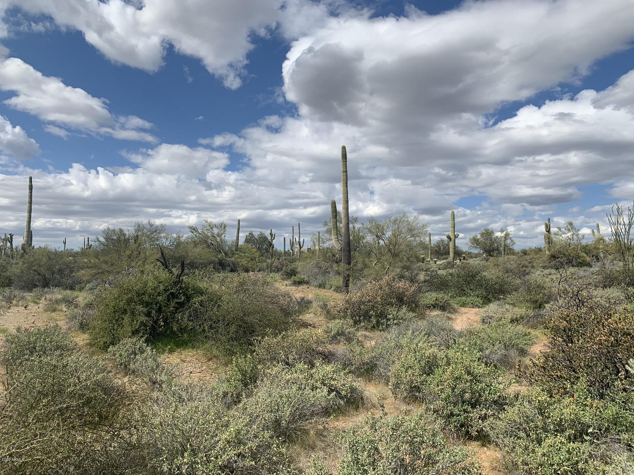 31200 North 174th Street Rio Verde, AZ 85263 - Photo 9 of 20 Enjoy Living in the Rio Verde Foothills