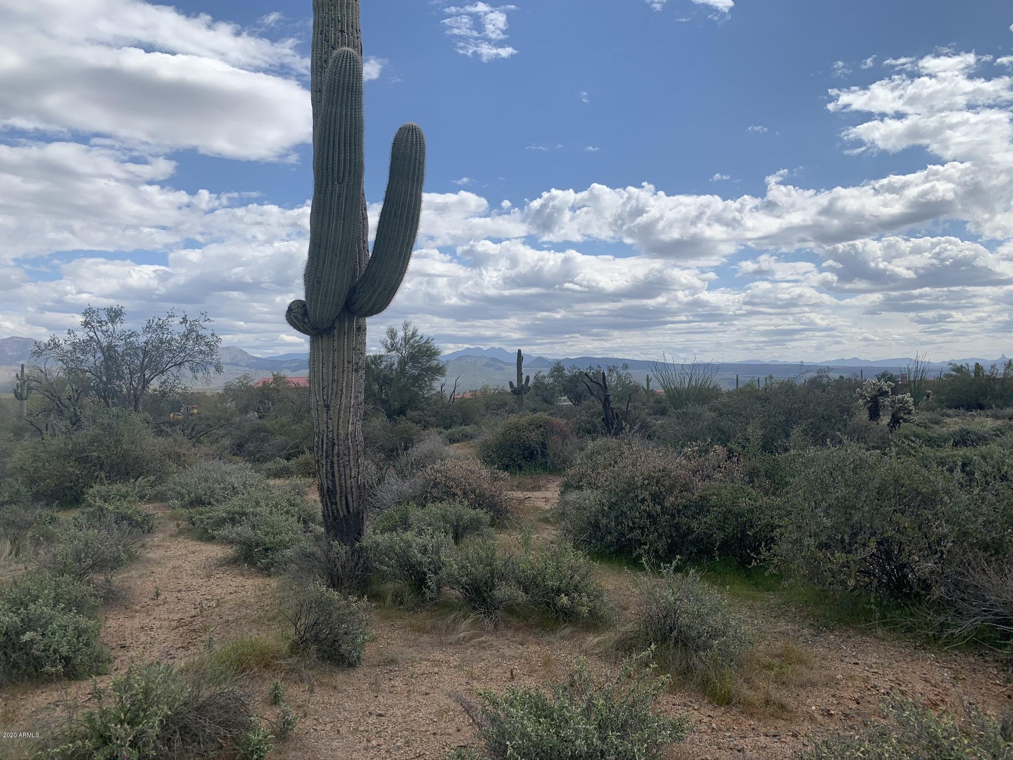 31200 North 174th Street Rio Verde, AZ 85263 - Photo 10 of 20 Lots of Mature Saguaros