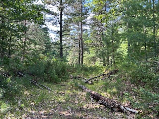 On Zeman Road Eagle River, WI 54521 - Photo 8 of 10 Gallery Image 8