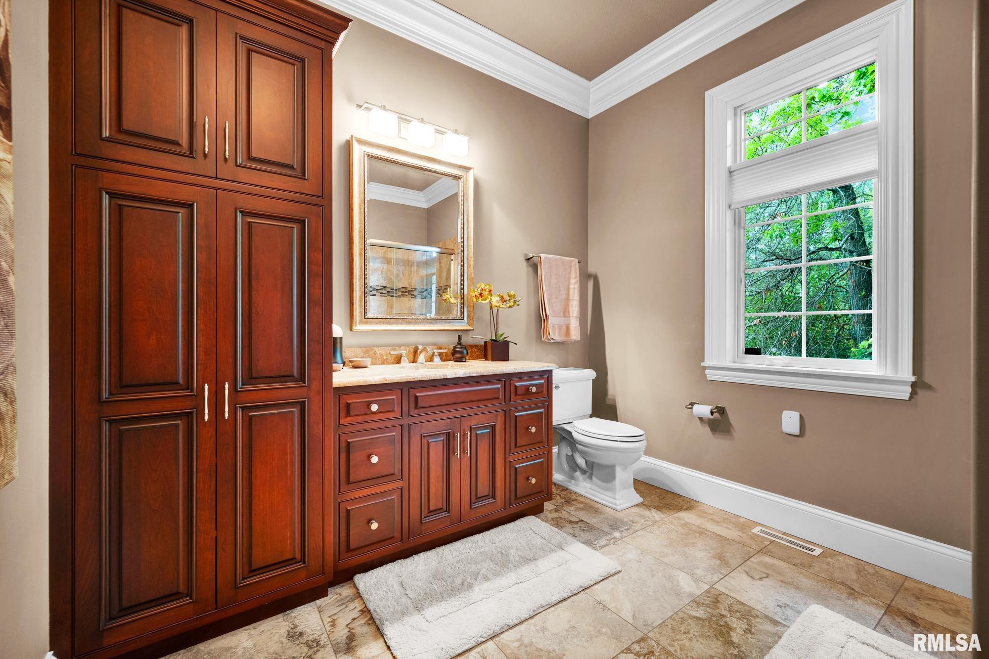 12925 Woodland Ridge Drive Dunlap, IL 61525 - Photo 54 of 100