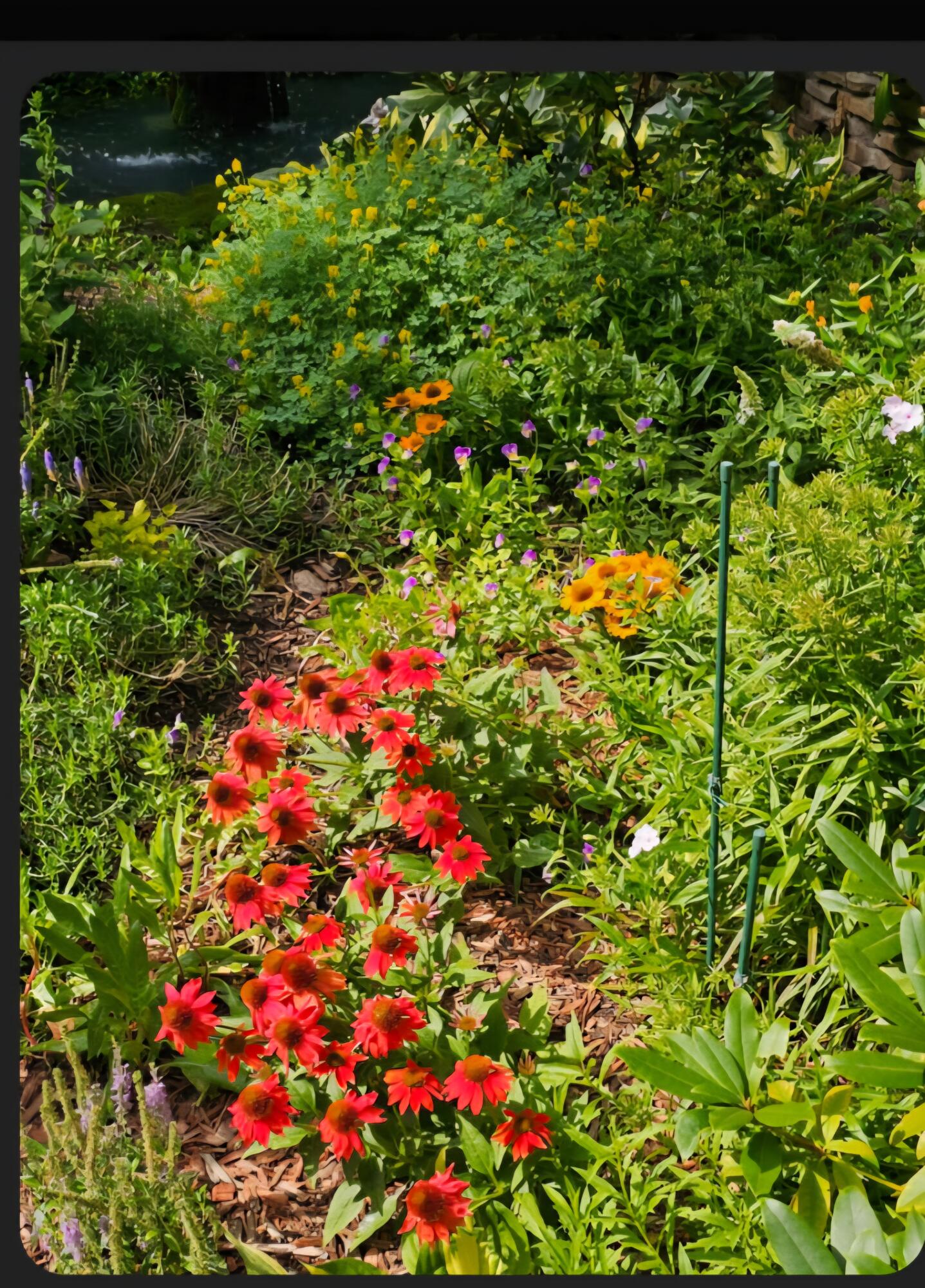 218 Chickadee Trail Michigan City, IN 46360 - Photo 36 of 40