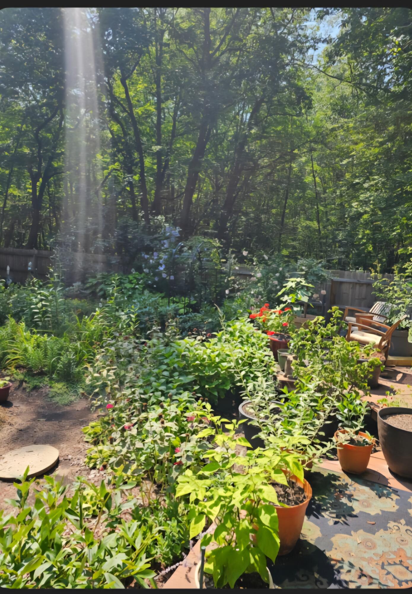 218 Chickadee Trail Michigan City, IN 46360 - Photo 37 of 40 1389x2000