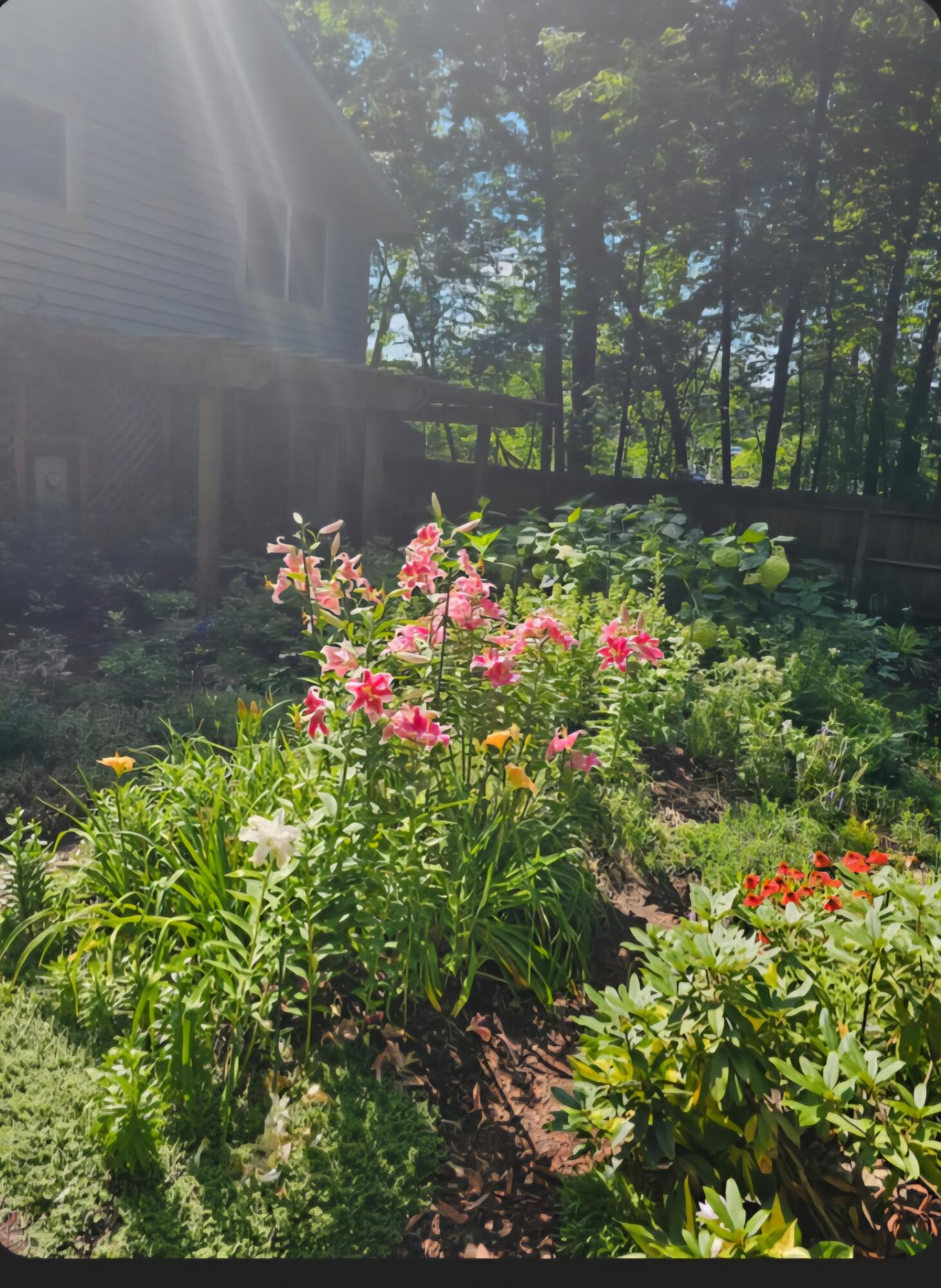 218 Chickadee Trail Michigan City, IN 46360 - Photo 38 of 40 a view of a flower in a garden