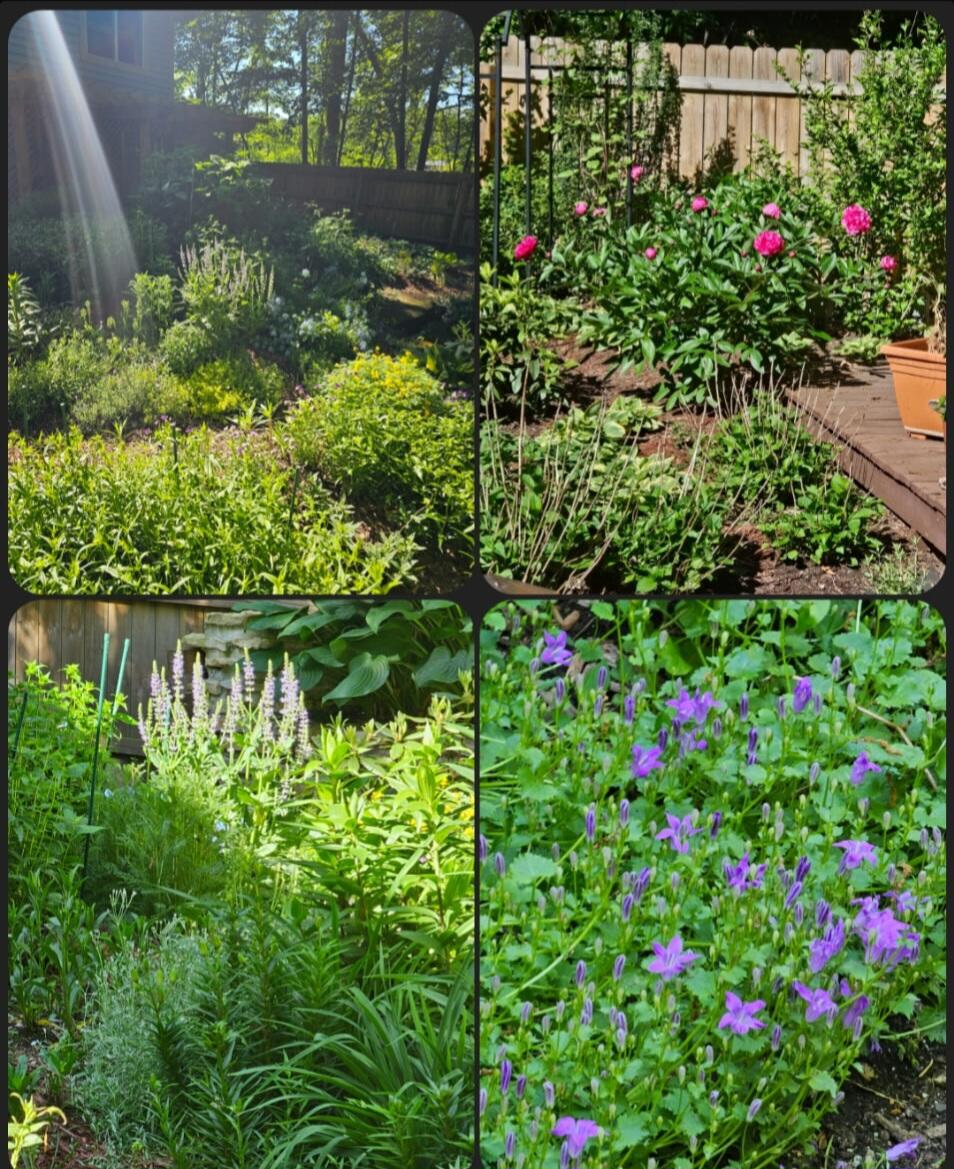 218 Chickadee Trail Michigan City, IN 46360 - Photo 39 of 40 a view of a flower in a garden of a house