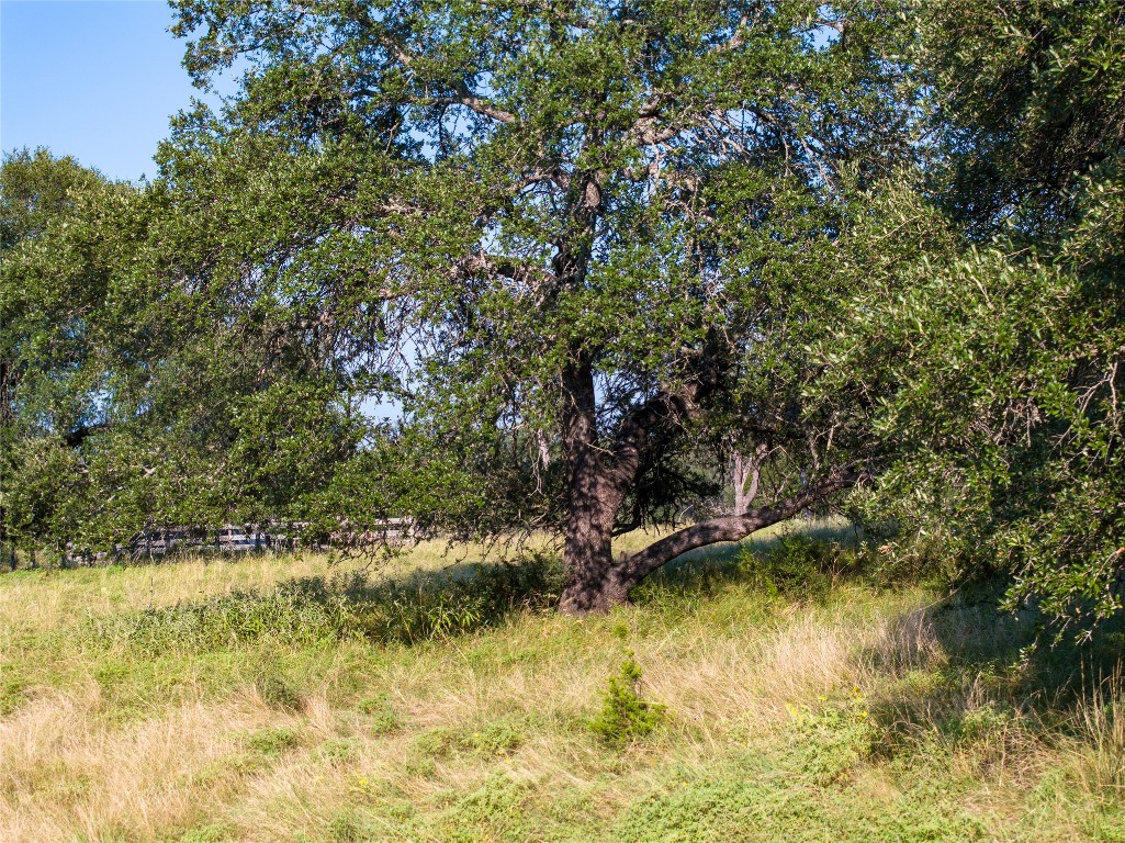 0 Cr 121 Road Killeen, TX 76549 - Photo 13 of 18 View of nature