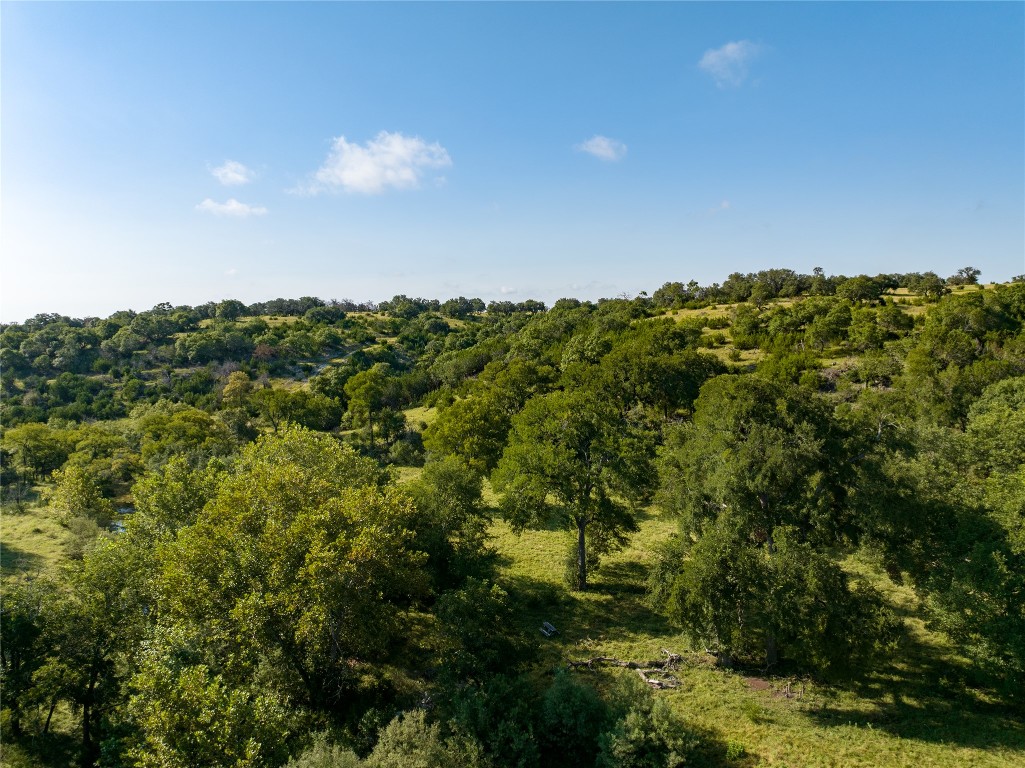 0 Cr 121 Road Killeen, TX 76549 - Photo 17 of 18 View of tree filled area