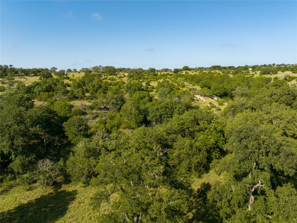 0 Cr 121 Road Killeen, TX 76549 - Photo 18 of 18 View of woods