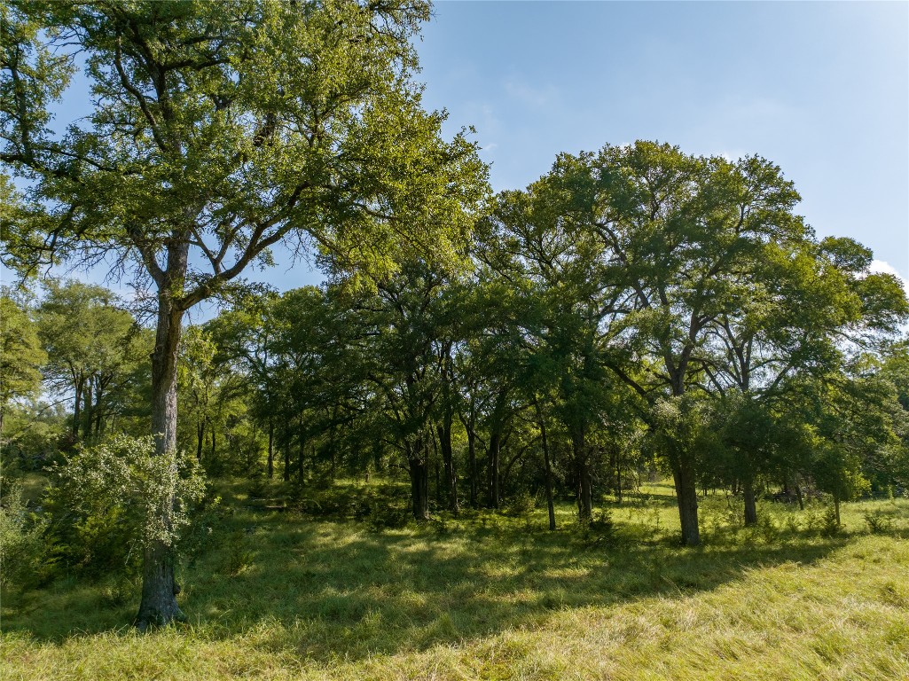 0 Cr 121 Road Killeen, TX 76549 - Photo 4 of 18 View of undeveloped land
