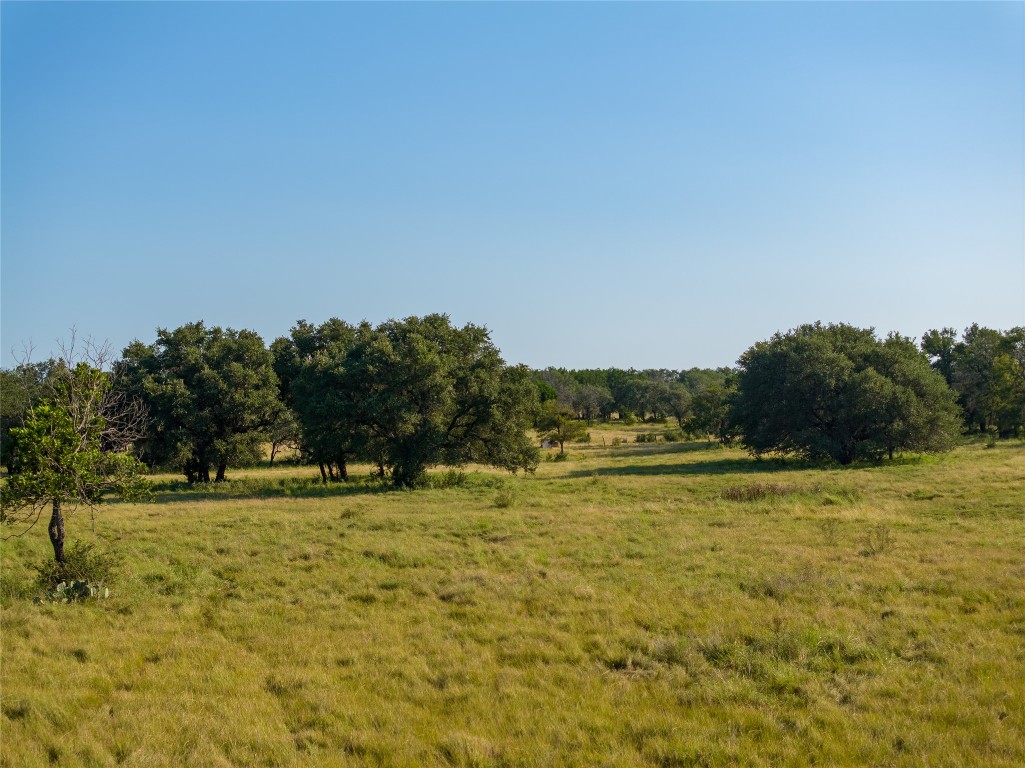 0 Cr 121 Road Killeen, TX 76549 - Photo 6 of 18 View of local wilderness with rural landscape
