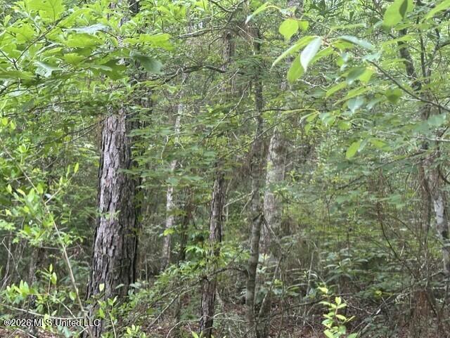 1048 Williamson Road Wesson, MS 39191 - Photo 11 of 11 land 07