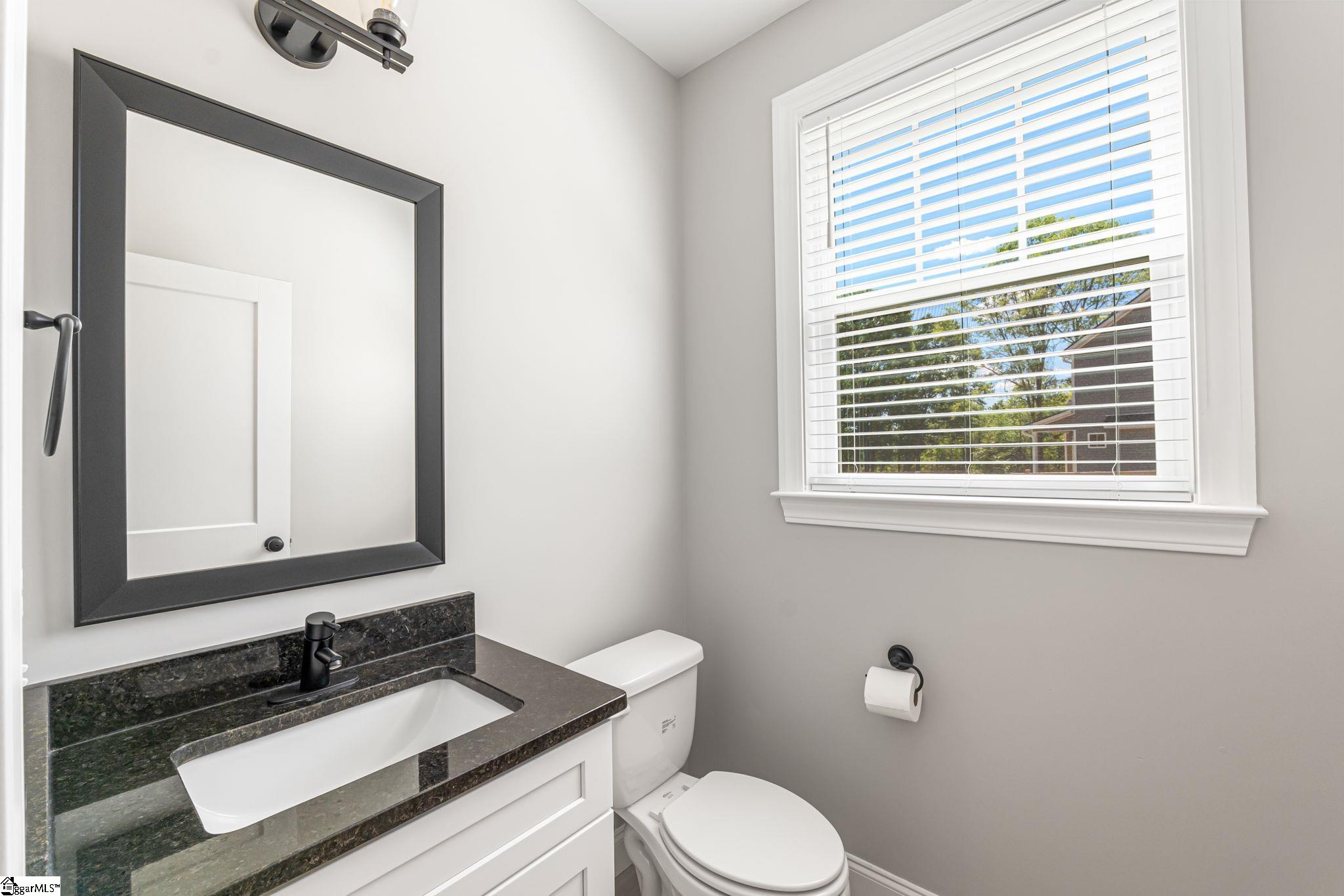 237 Black Road Simpsonville, SC 29680 - Photo 20 of 48