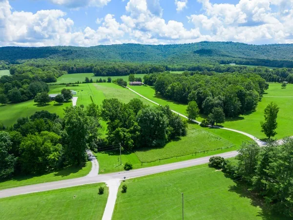 a view of a green yard with large trees