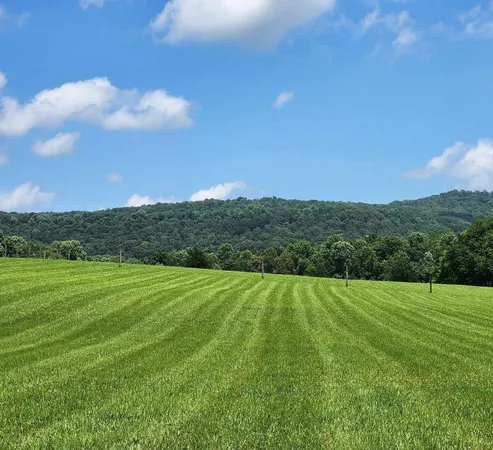 a view of an outdoor space and a yard