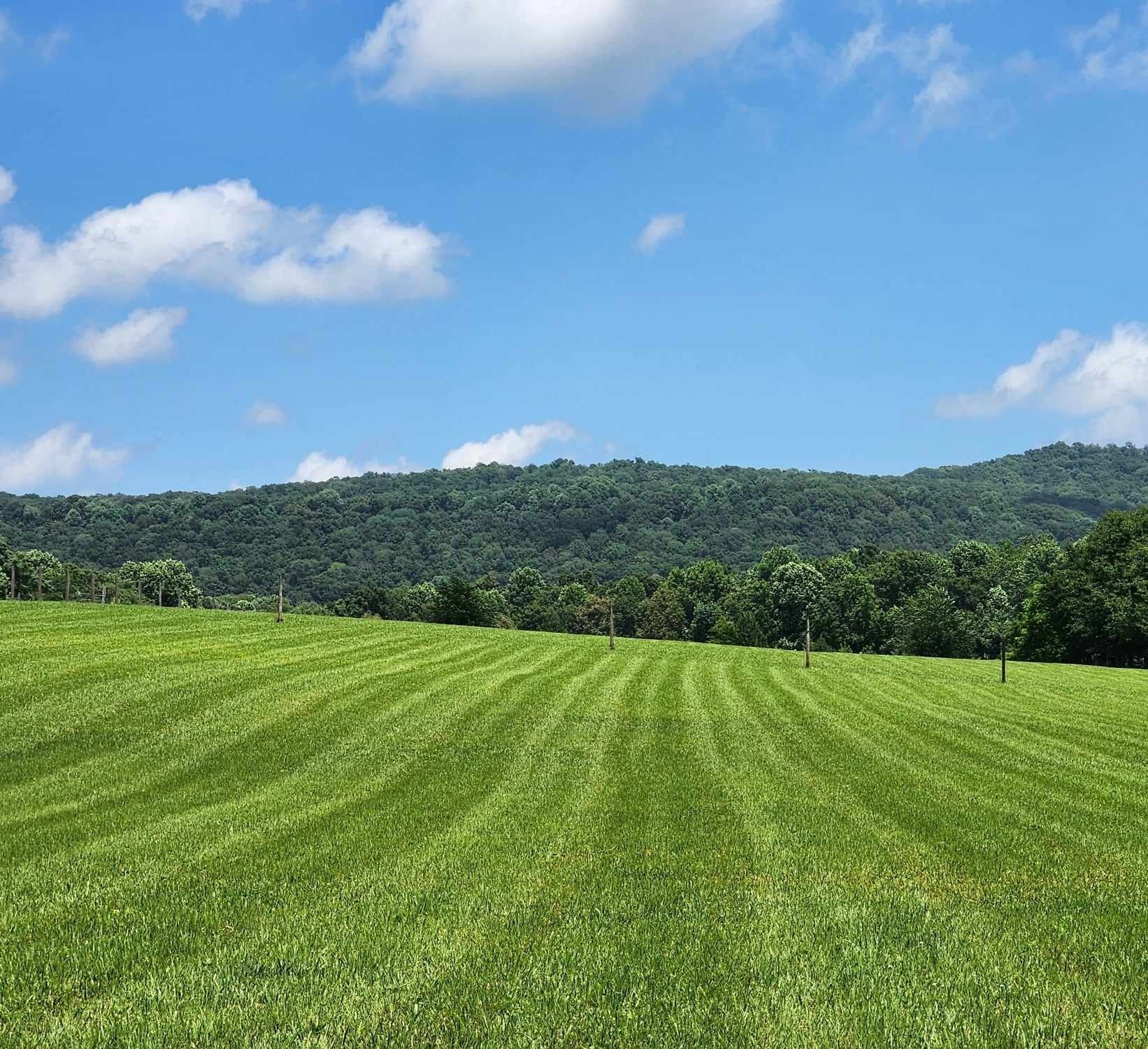 0 Chestnut Grove Road Morrison, TN 37357 - Photo 3 of 14 a view of an outdoor space and a yard