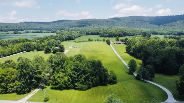 a view of a swimming pool and trees in the background