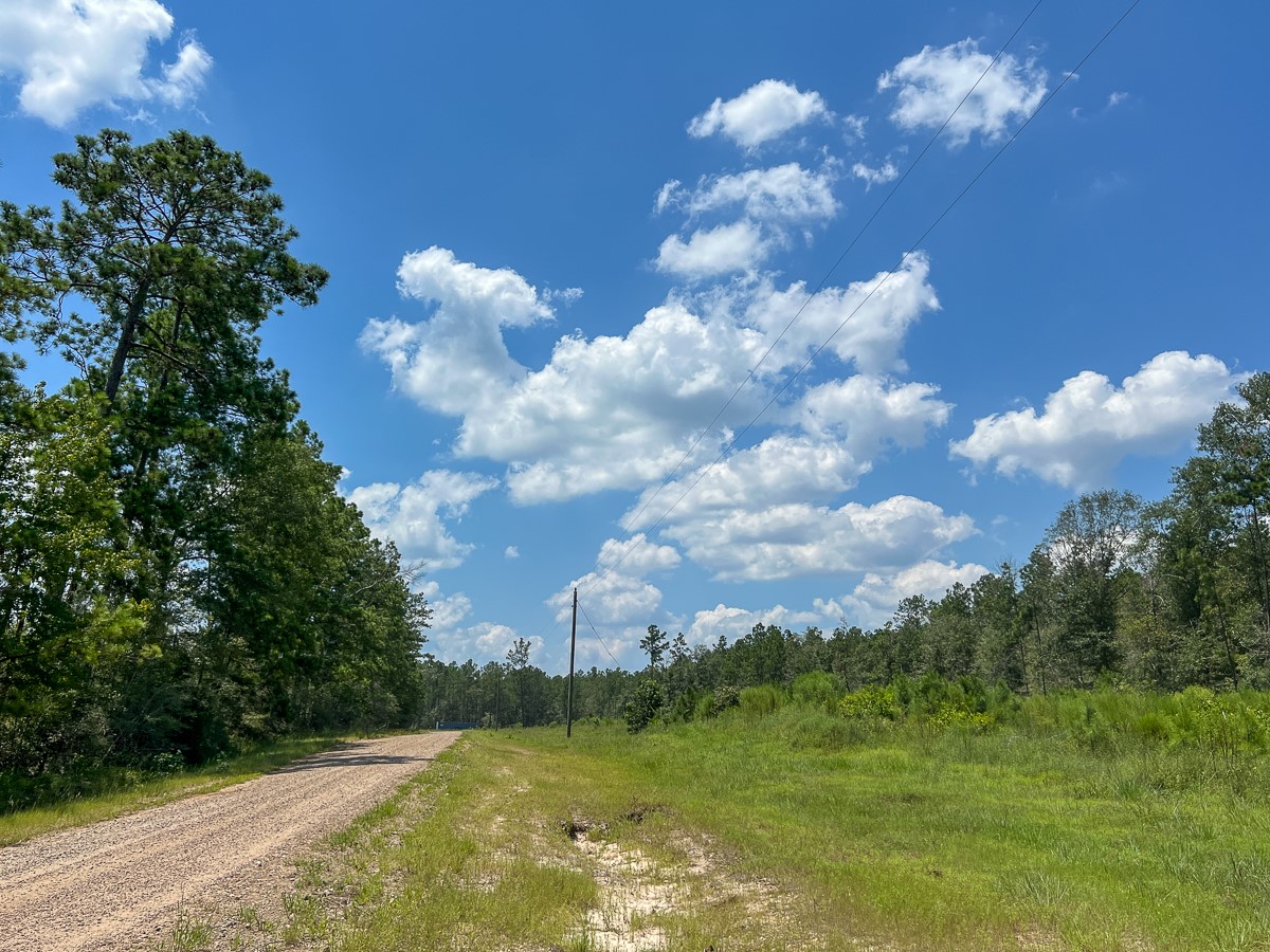 7 Purvis Boulevard Corrigan, TX 75939 - Photo 2 of 8