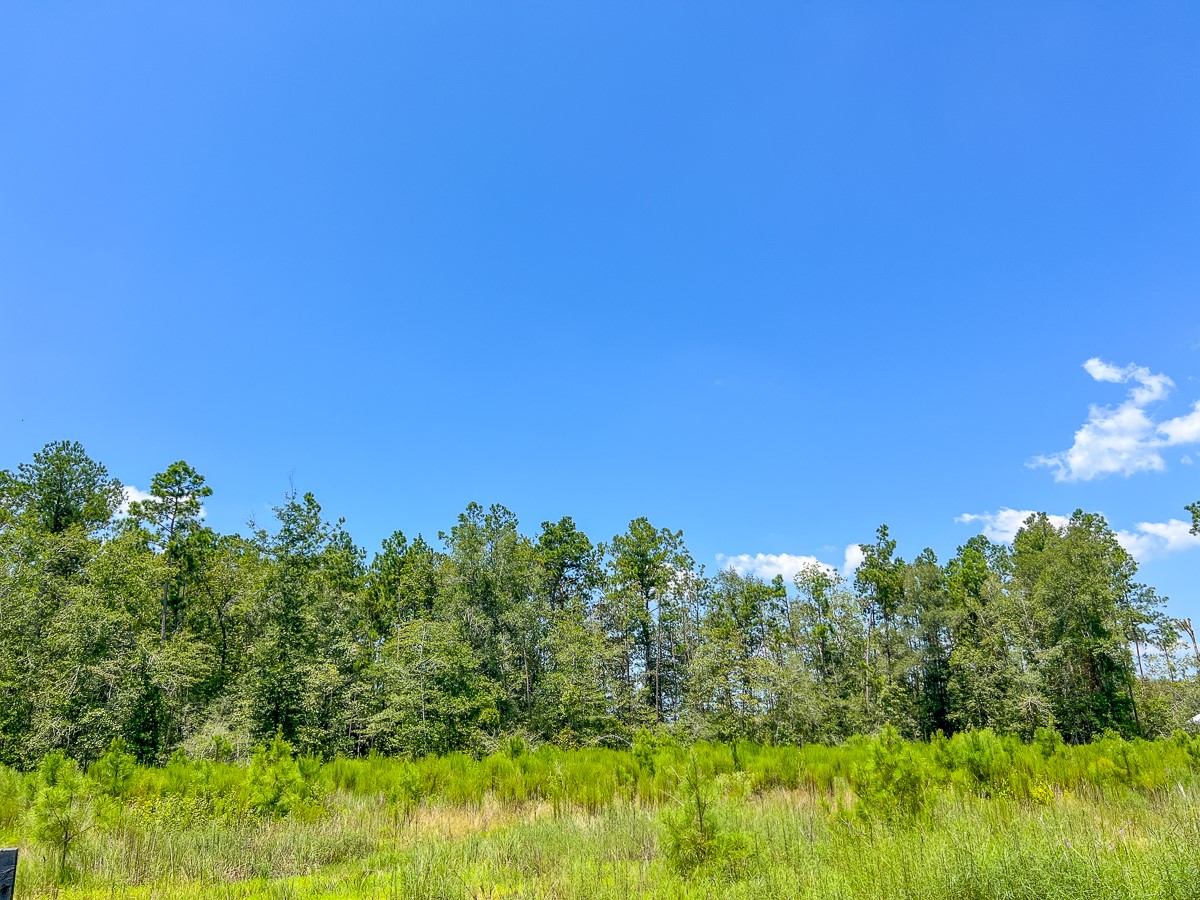 7 Purvis Boulevard Corrigan, TX 75939 - Photo 5 of 8