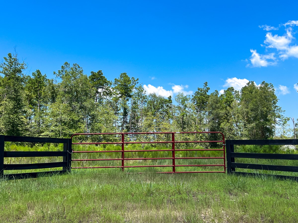 7 Purvis Boulevard Corrigan, TX 75939 - Photo 6 of 8
