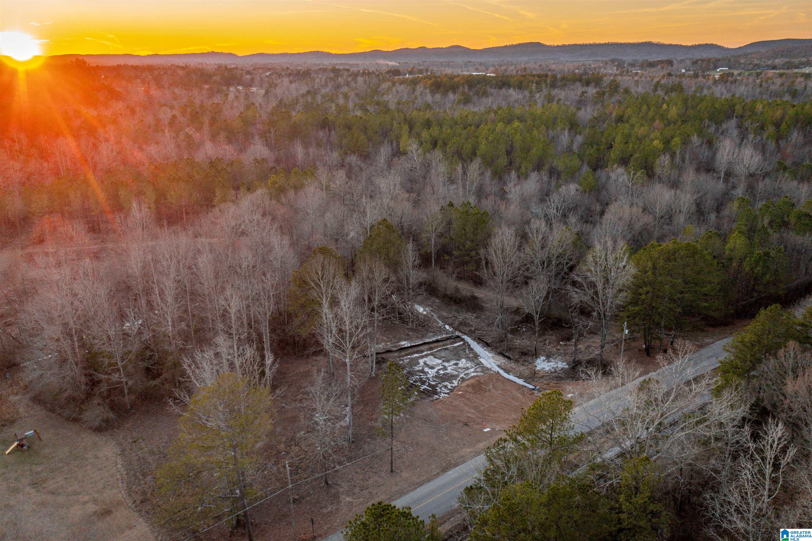 1845 Reads Mill Road, Unit 1 Wellington, AL 36279 - Photo 1 of 11