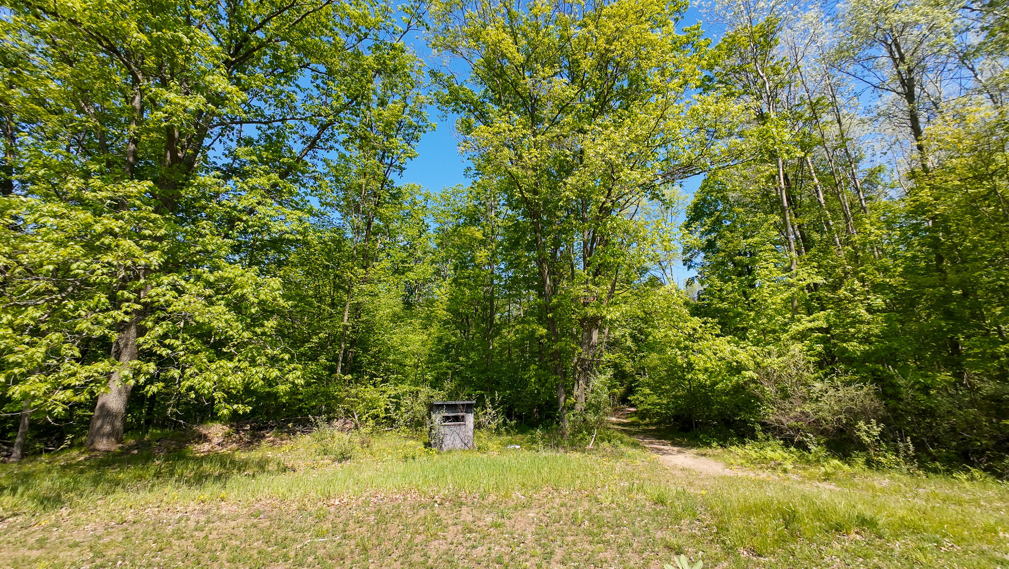 4196 West 4 Mile Road White Cloud, MI 49349 - Photo 50 of 65 DJI_20260527113737_0070_D