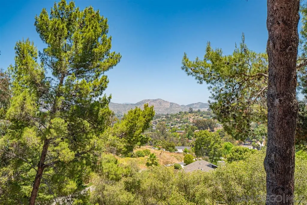 1307 Van Vechten Road El Cajon, CA 92019 - Photo 8 of 24 a picture of flowers