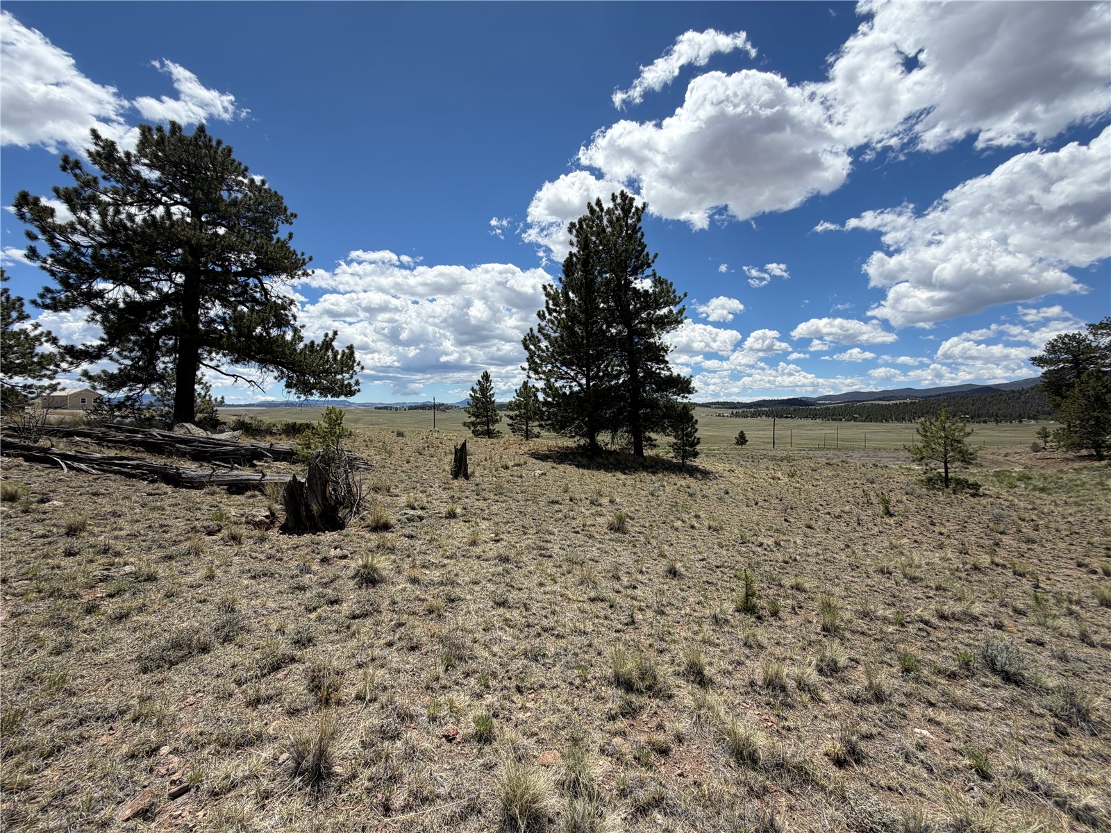 595 Bridle Path Hartsel, CO 80449 - Photo 13 of 23