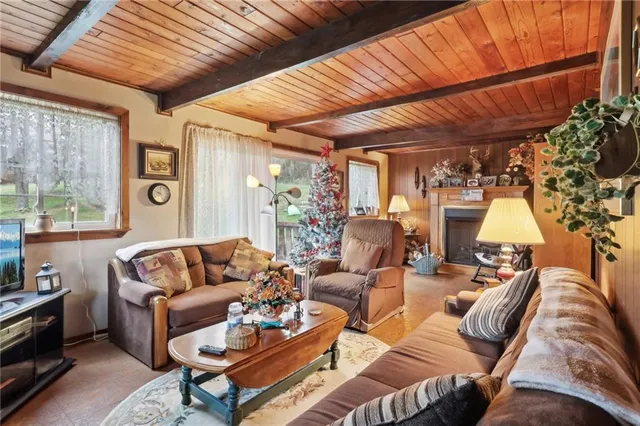 a living room with furniture a couch and a potted plant