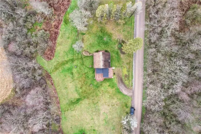 a view of a garden with large trees