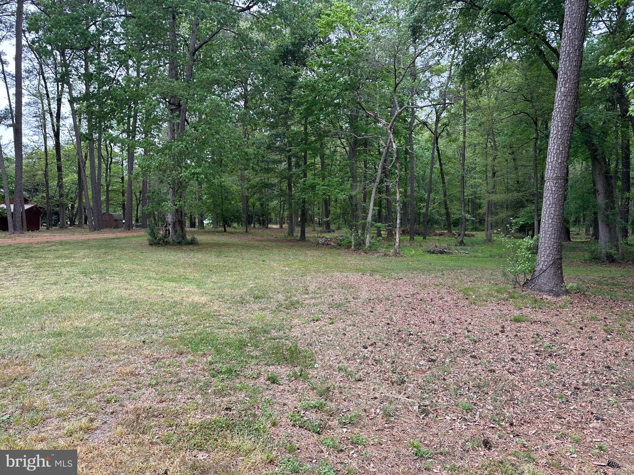 28403 Old Eden Road Eden, MD 21822 - Photo 5 of 46 a view of outdoor space with trees all around