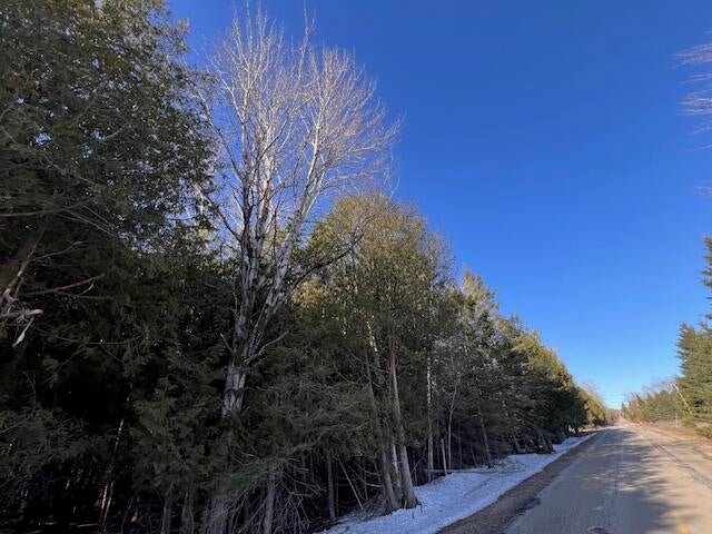 Beckon Road Pellston, MI 49769 - Photo 8 of 11 Gallery Image 8