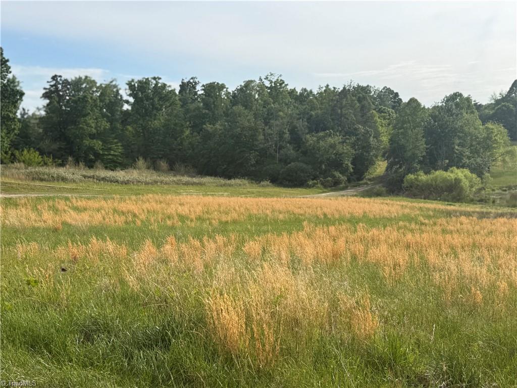 0 Amostown Road Sandy Ridge, NC 27046 - Photo 18 of 33