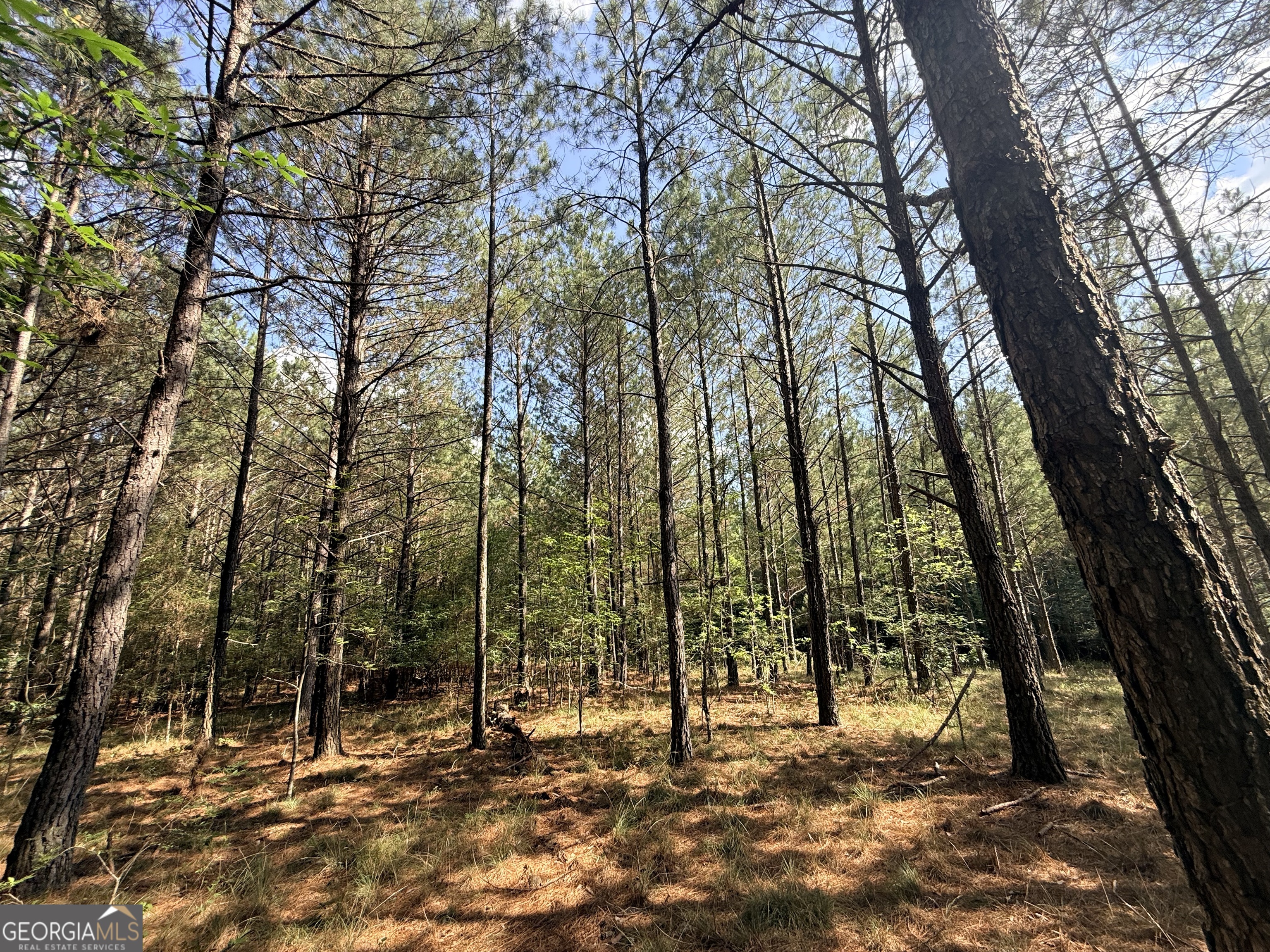 1 Bethesda Church Road Lexington, GA 30648 - Photo 73 of 78