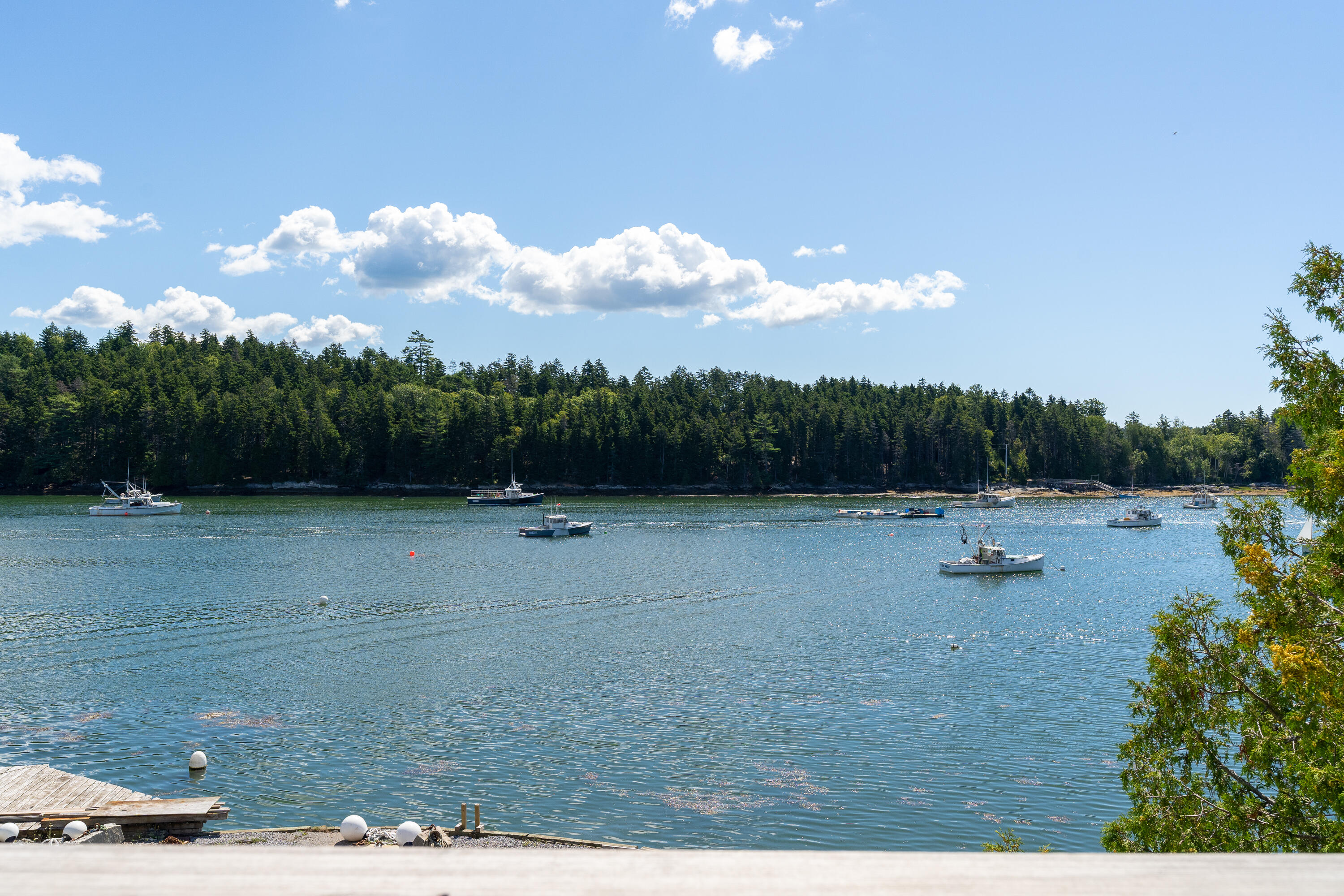 0 Guss Gully Road Harpswell, ME 04079 - Photo 16 of 26 From the water