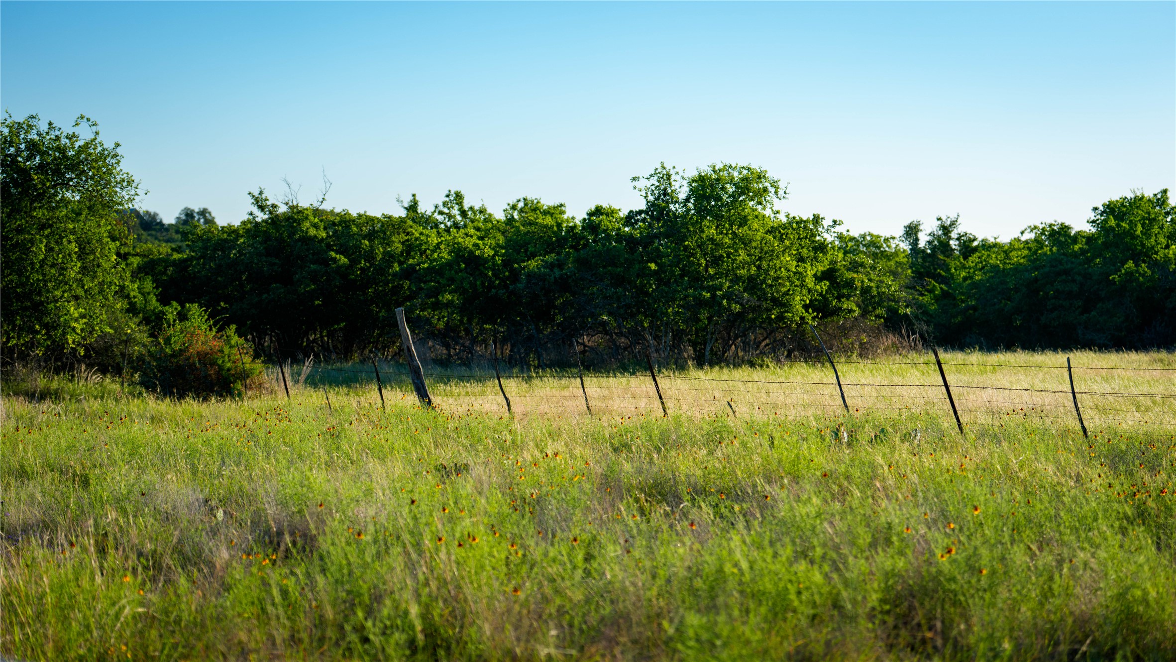 3276 Link Road Doss, TX 78618 - Photo 24 of 35 a view of an outdoor space and a yard