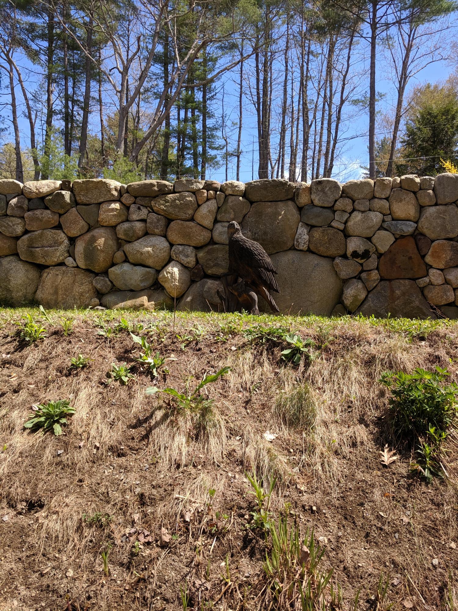 25 Eaton Road Standish, ME 04084 - Photo 11 of 27 25 Eaton rock wall eagle sun