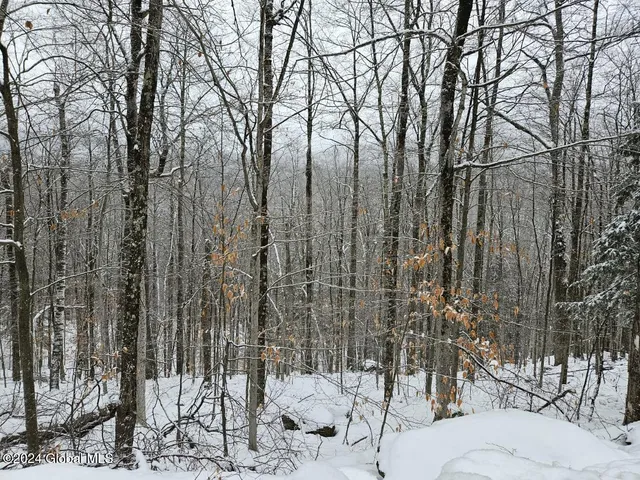 $174,999 | L12 14th Road, Minerva, NY 12851