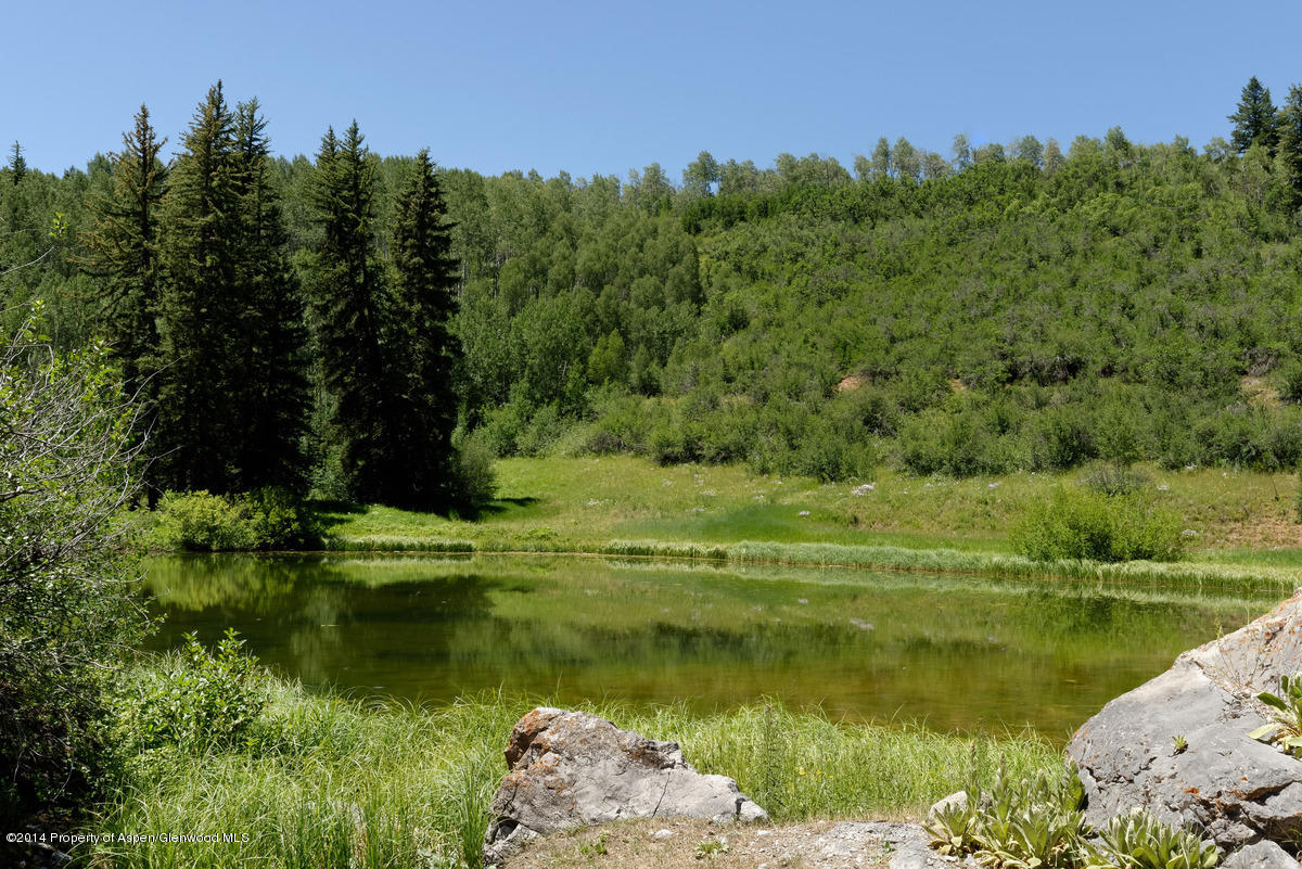 25278 Frying Pan Road Meredith, CO 81642 - Photo 5 of 30 25278FryingPan_WEB004
