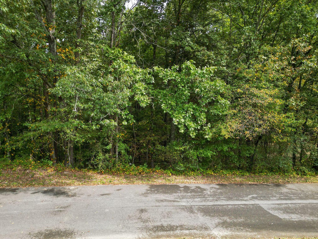 0 Jacobs Road Ringgold, GA 30736 - Photo 1 of 15 Gallery Image 1