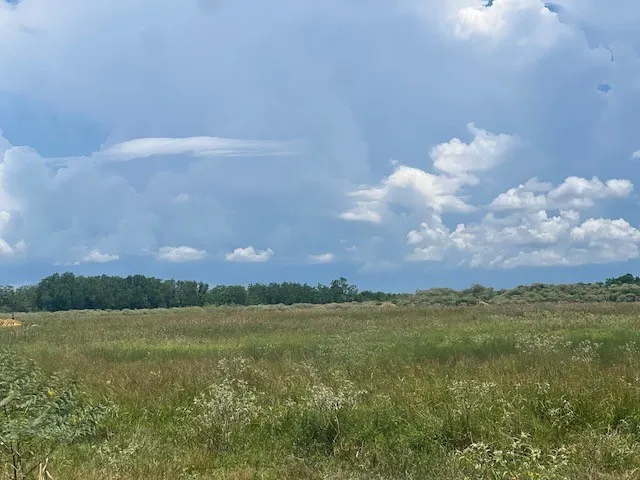 a view of a lake in middle of the town