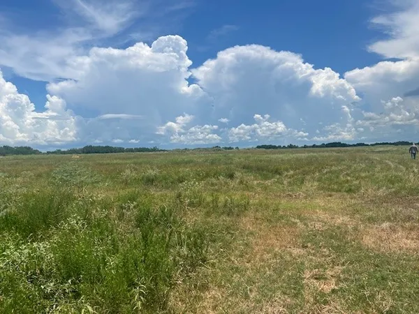 a view of a lake in middle of the house