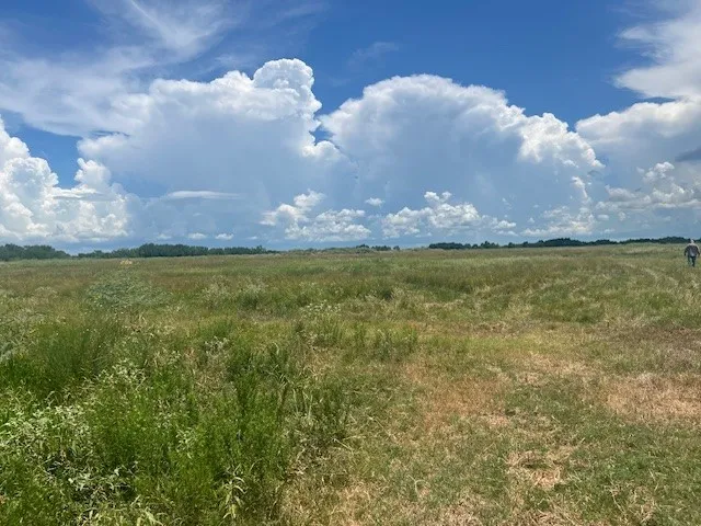 a view of a lake in middle of the house