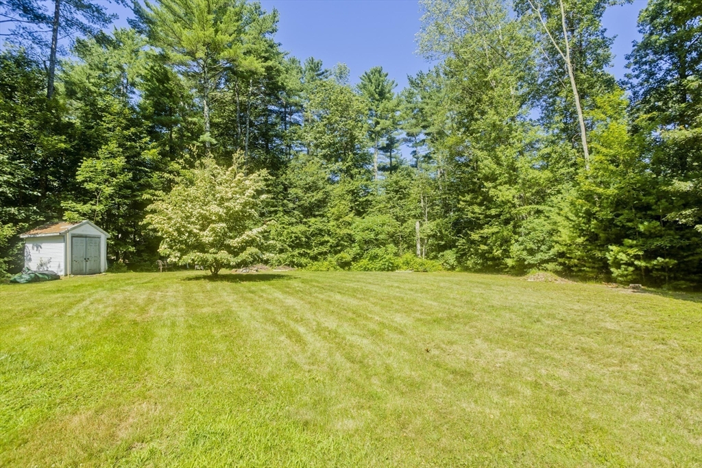 288 Fisk Road Hardwick, MA 01082 - Photo 10 of 42 a view of big yard with an outdoor space