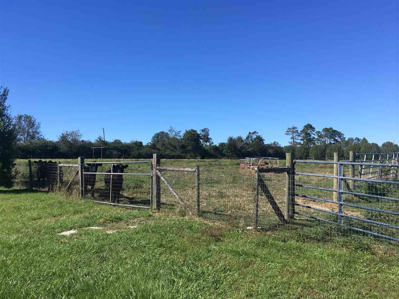 4792 Schaag Road, Unit INCLUDES 4840 Molino, FL 32577 - Photo 32 of 44 Gallery Image 32