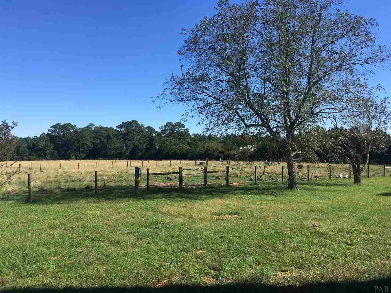 4792 Schaag Road, Unit INCLUDES 4840 Molino, FL 32577 - Photo 38 of 44 Cows have gated path to graze almost entire proper