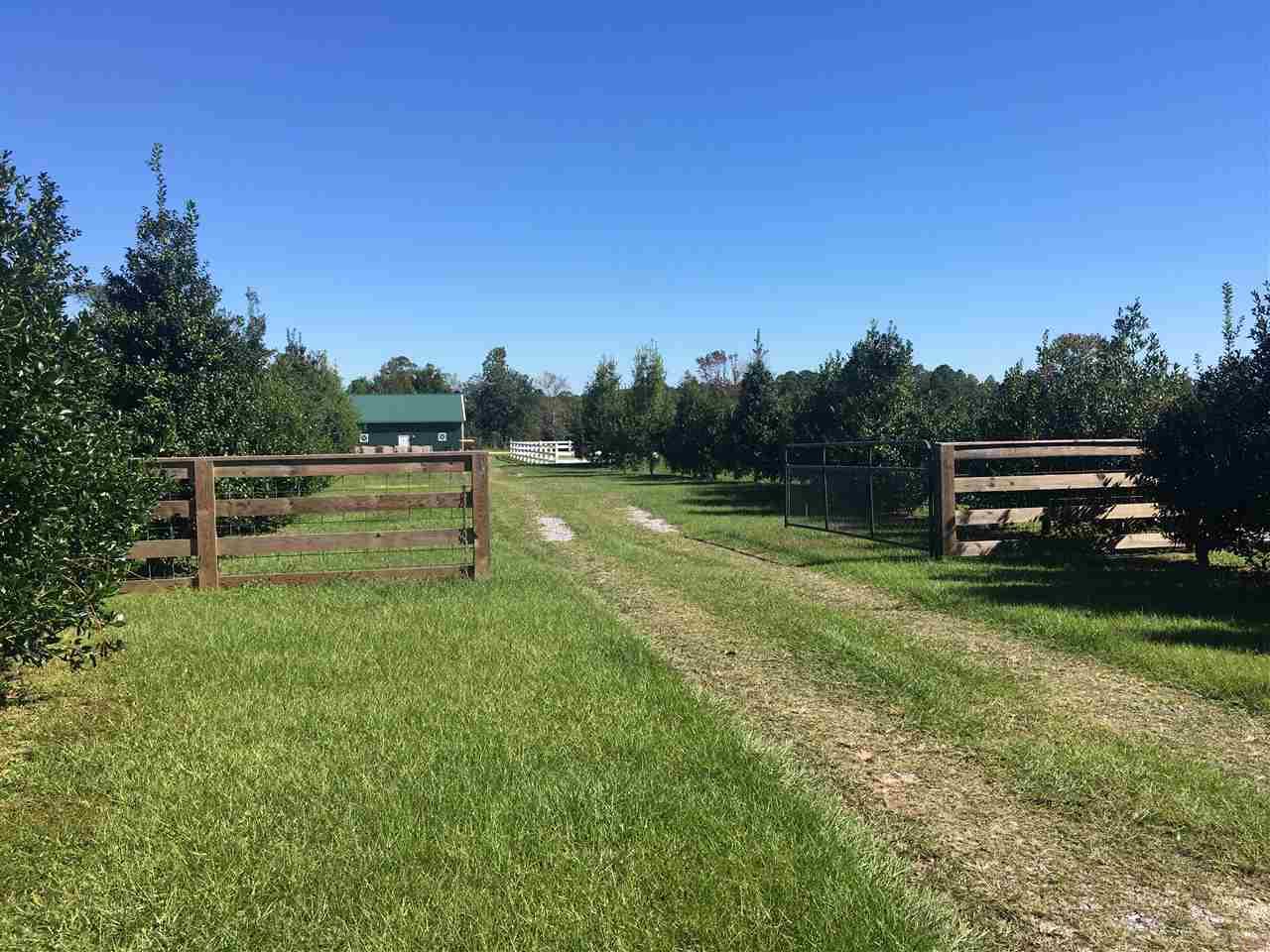 4792 Schaag Road, Unit INCLUDES 4840 Molino, FL 32577 - Photo 41 of 44 At both Gates