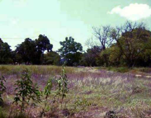 353 Youngs Prairie Road Elgin, TX 78621 - Photo 1 of 1 a view of yard and mountain view