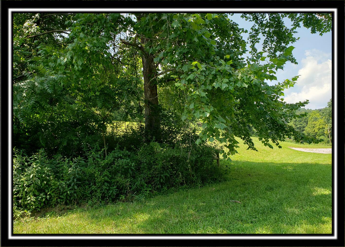 0 Bethel Road, Unit TRACT 4 Patriot, OH 45658 - Photo 1 of 35 CT-1