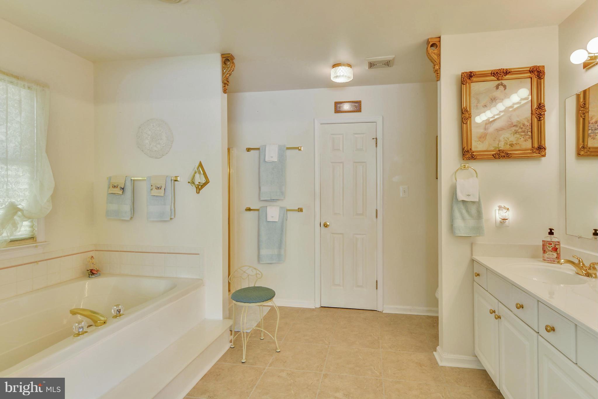 2803 Lookout Road Haymarket, VA 20169 - Photo 17 of 28 Master Bathroom